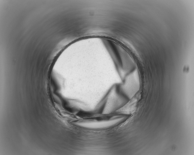 X0000091561277200709141528