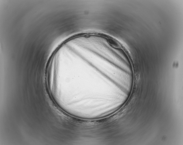 X0000091561279200709141528