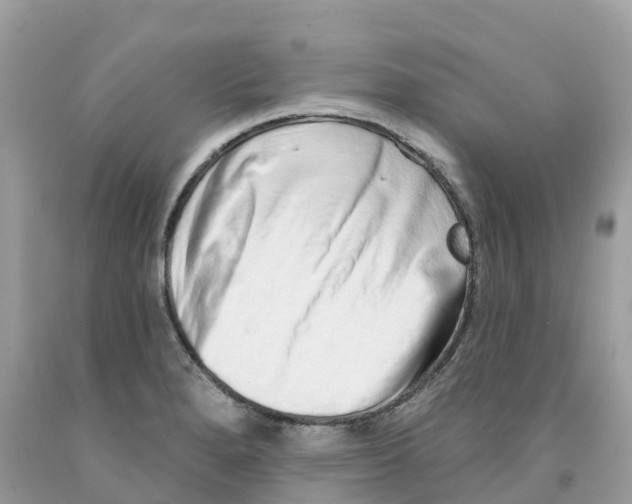 X0000091561280200709141528