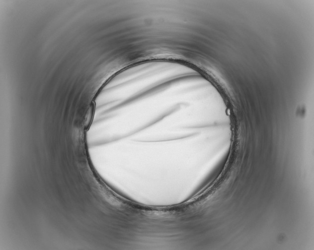 X0000091561281200709141528