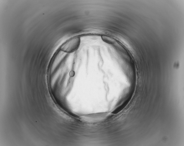 X0000091561283200709141528