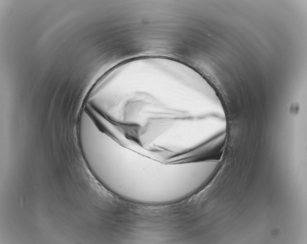 X0000091561284200709141528