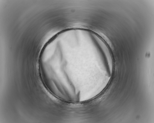 X0000091561285200709141528