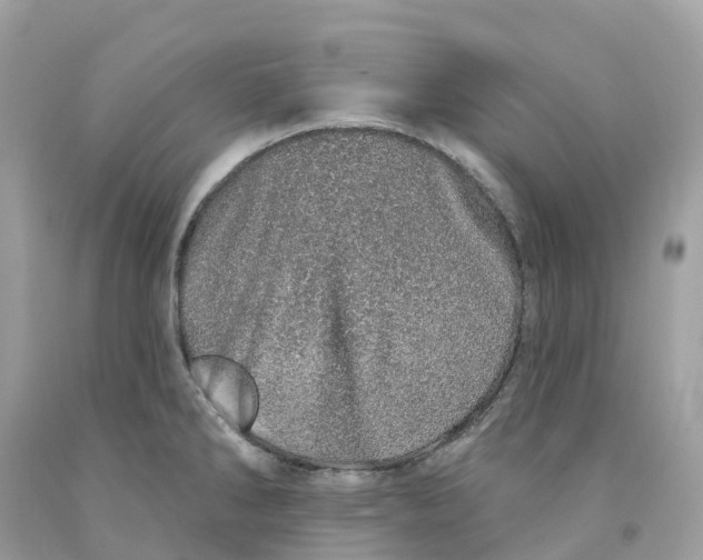 X0000091561286200709141528