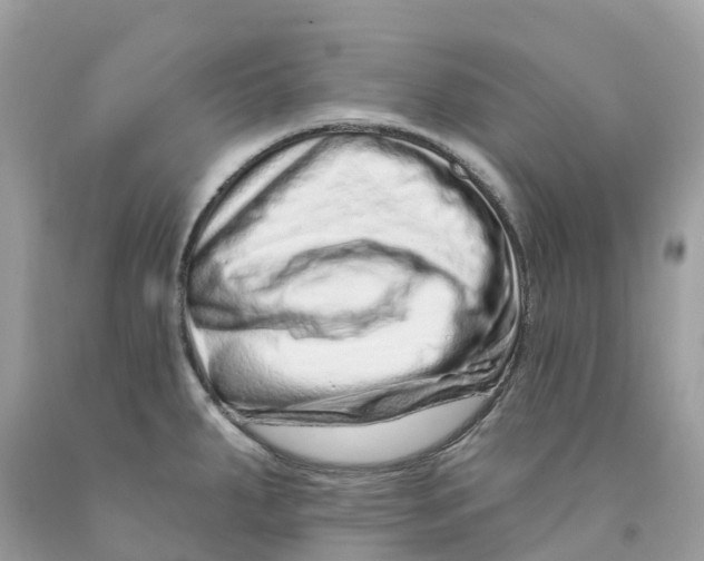 X0000091561287200709141528