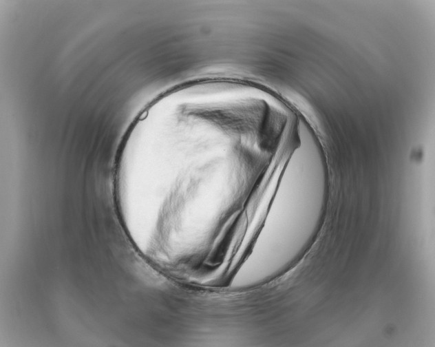 X0000091561288200709141528