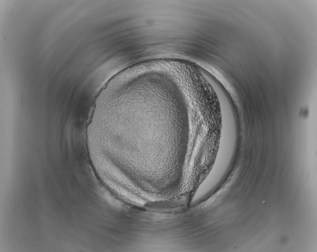 X0000091561289200709141528