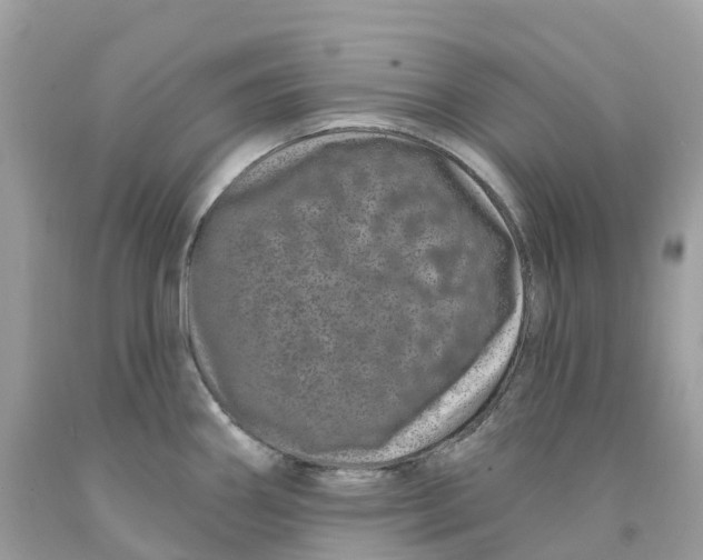 X0000091561290200709141528