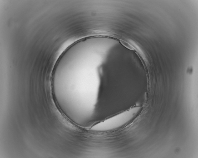 X0000091561291200709141528