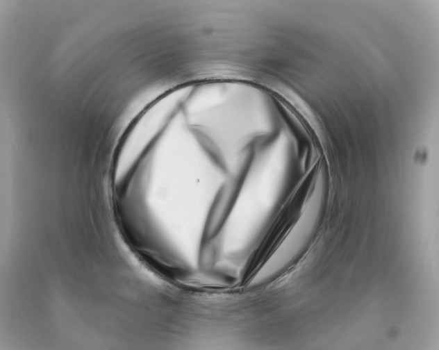 X0000091561293200709141528