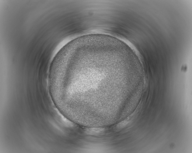 X0000091561294200709141528