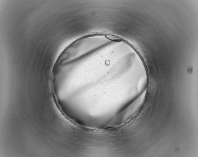 X0000091561295200709141528