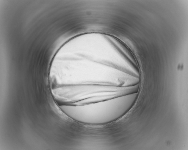 X0000091561296200709141528