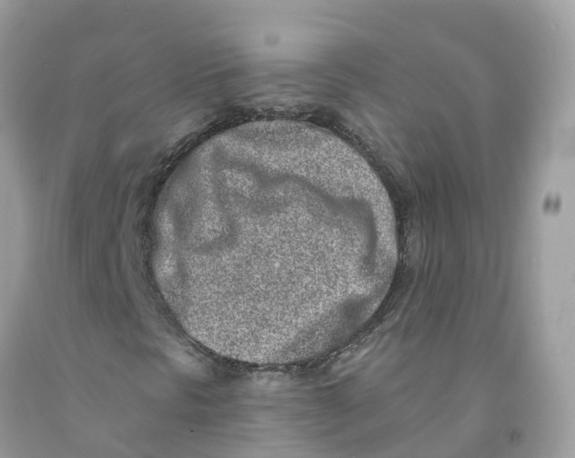 X0000091561297200709141528