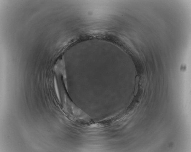 X0000091561298200709141528