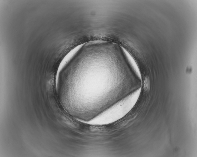 X0000091561299200709141528