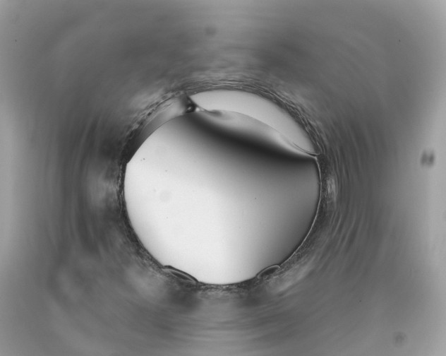 X0000091561300200709141528