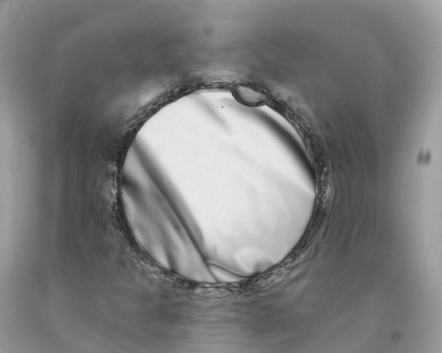 X0000091561301200709141528