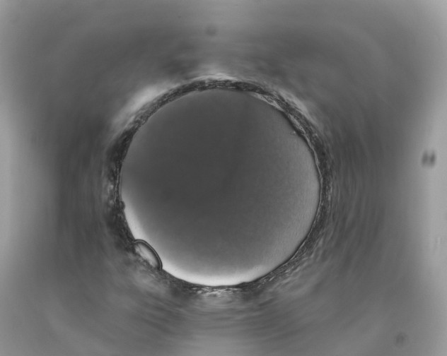 X0000091561303200709141528