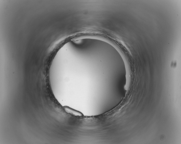 X0000091561304200709141528