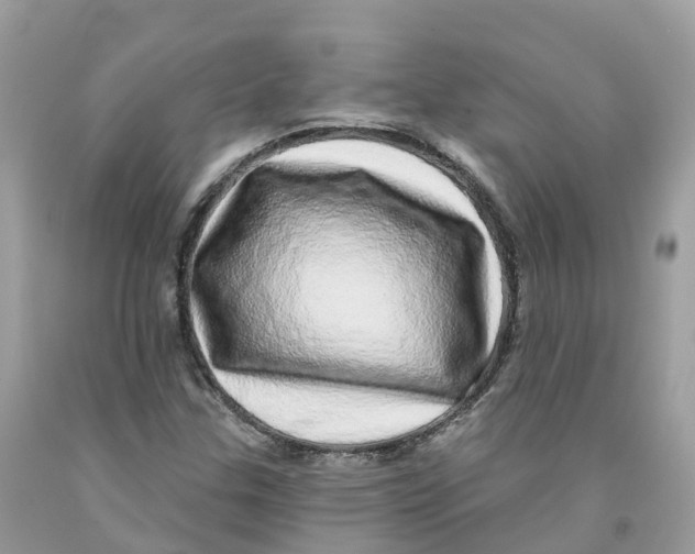 X0000091561307200709141528