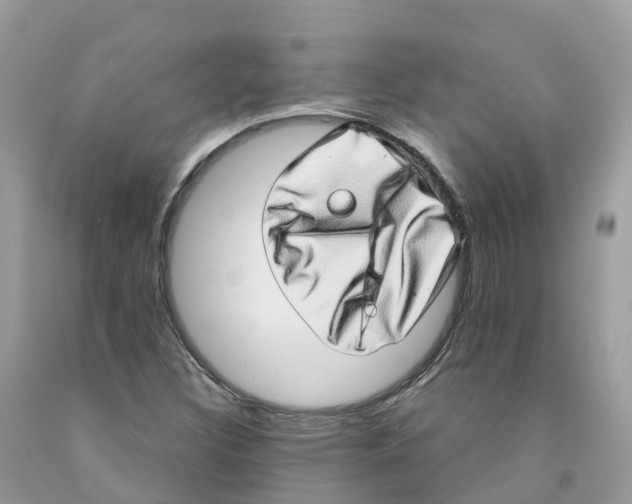 X0000091561308200709141528