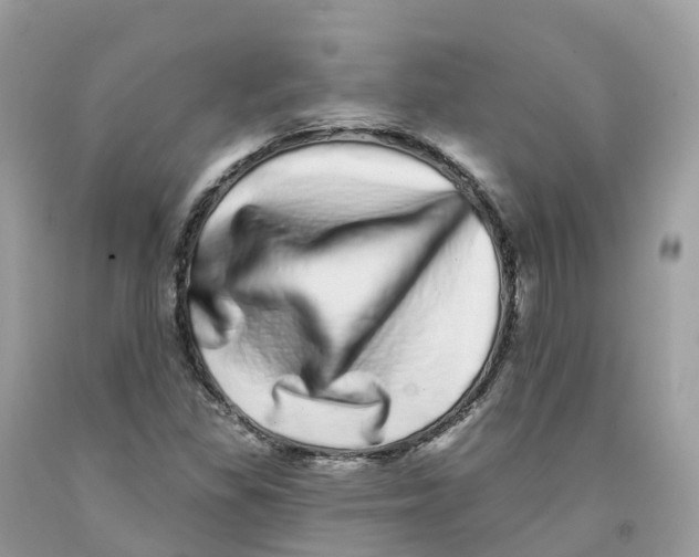 X0000091561309200709141528