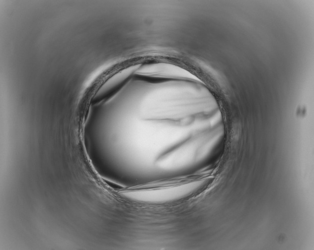 X0000091561310200709141528