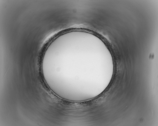 X0000091561311200709141528