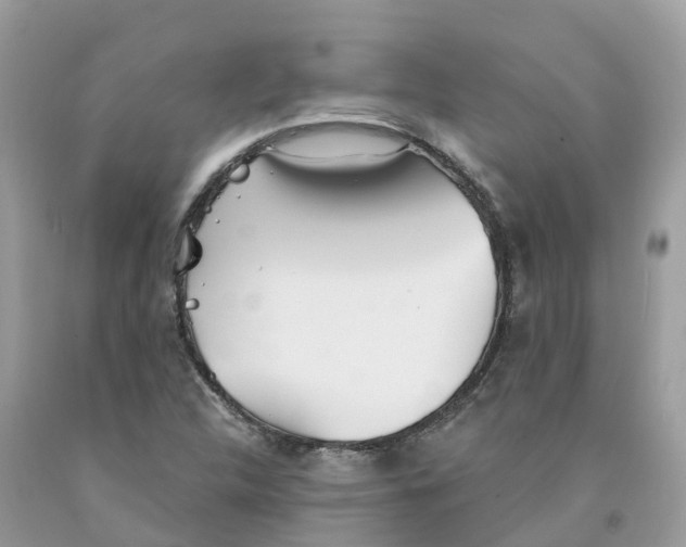 X0000091561312200709141528