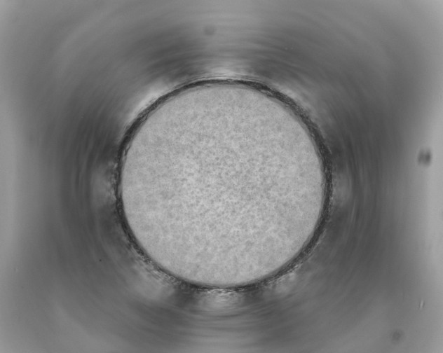 X0000091561314200709141528