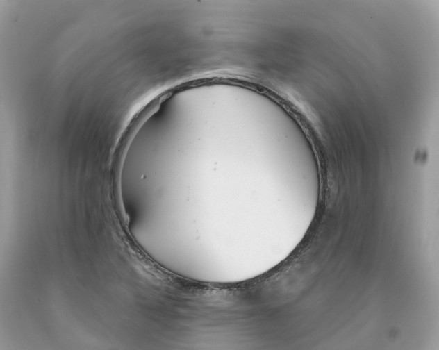 X0000091561316200709141528