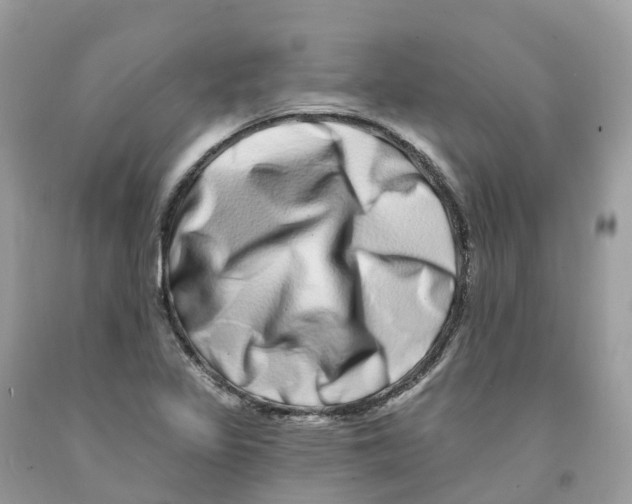 X0000091561317200709141528