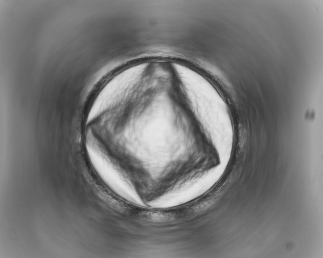 X0000091561318200709141528