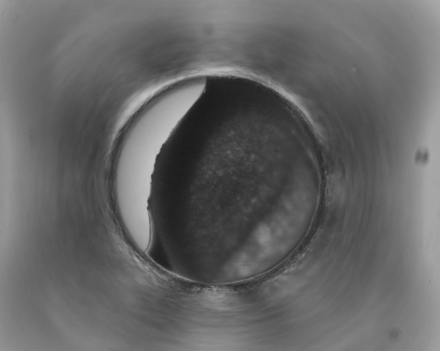 X0000091561319200709141528