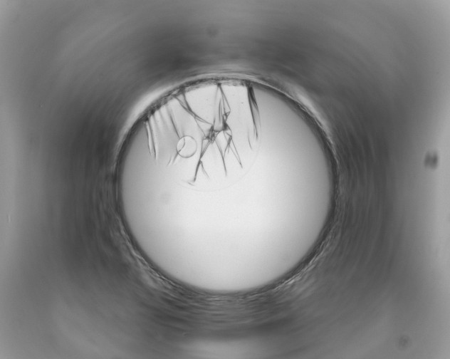 X0000091561320200709141528