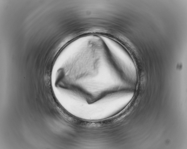 X0000091561321200709141528