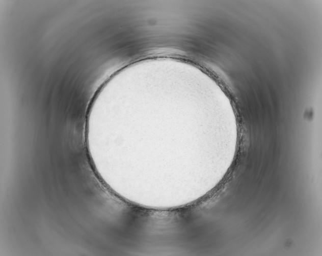 X0000091561322200709141528