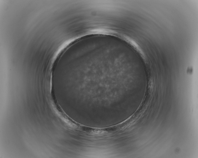 X0000091561323200709141528