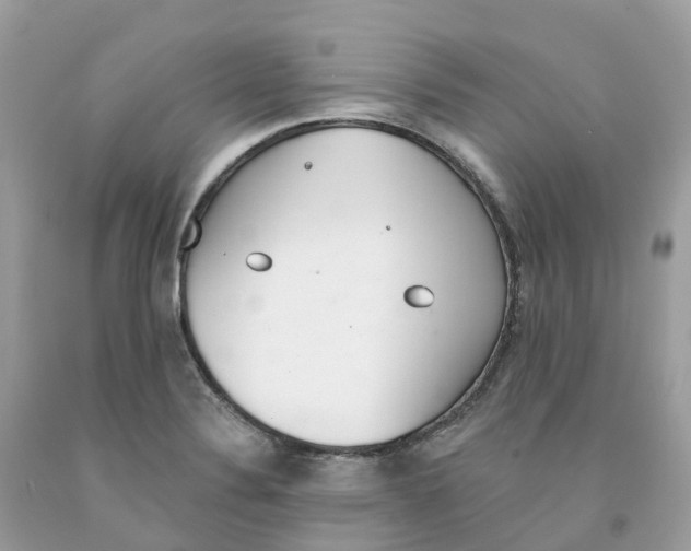 X0000091561324200709141528