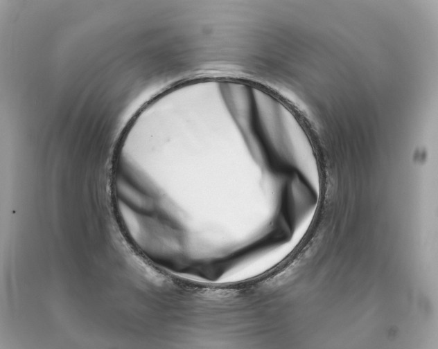 X0000091561325200709141528