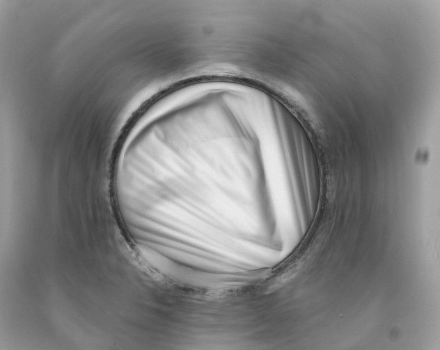 X0000091561326200709141528