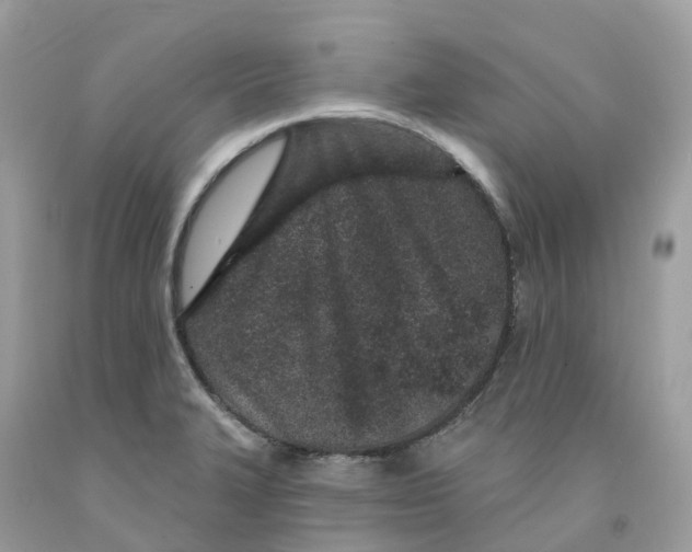 X0000091561327200709141528