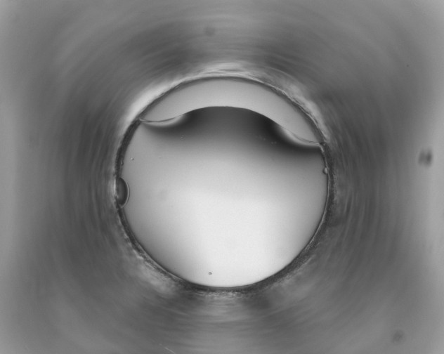 X0000091561328200709141528