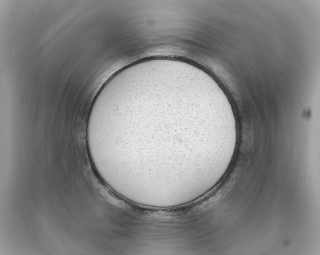 X0000091561329200709141528