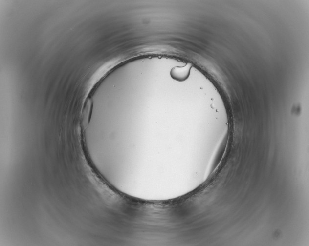 X0000091561330200709141528