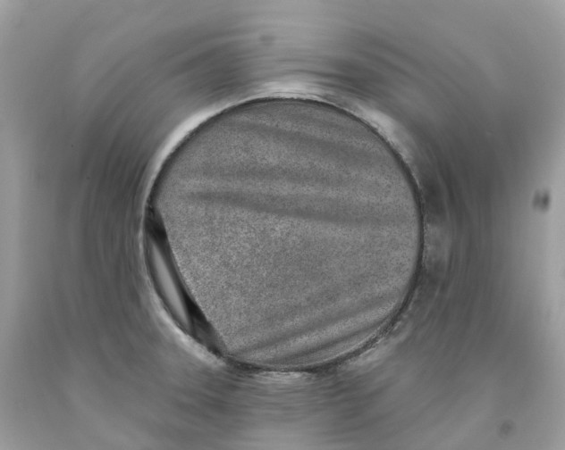 X0000091561331200709141528