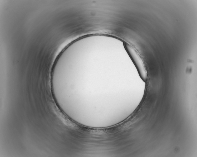 X0000091561332200709141528