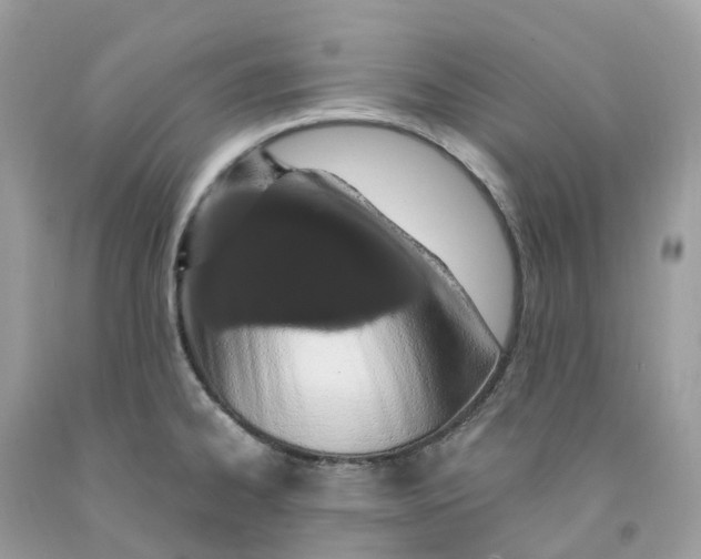 X0000091561334200709141528