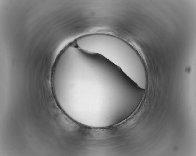 X0000091561336200709141528